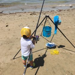 ガッチョフグキス