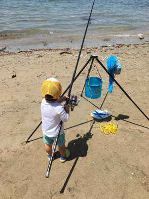 ガッチョフグキス