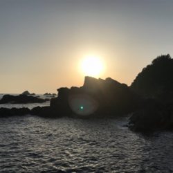 ヤエンでキロアップのアオリイカ