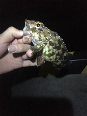 ベイビー&ベイビー