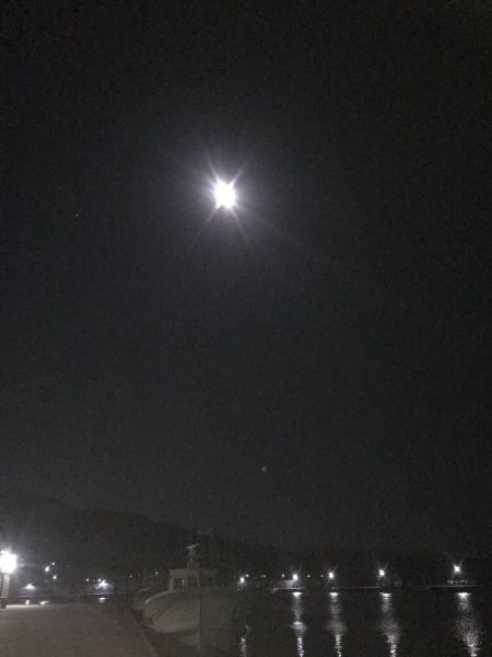 GW釣行1日目「アレっ」