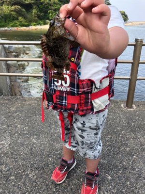 気楽にフィッシング！