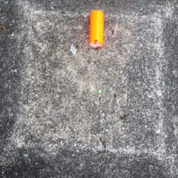 カープフィッシング