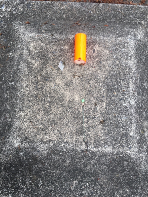 カープフィッシング