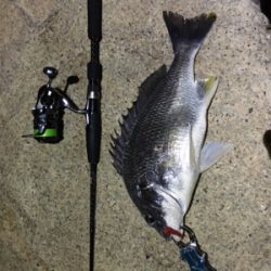 淀川ブリームゲーム 18年初キビレ