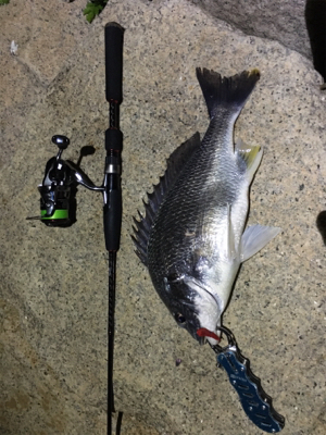 淀川ブリームゲーム 18年初キビレ