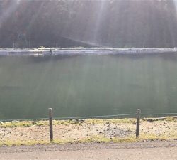 フィッシングスポットパスタイム