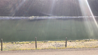 フィッシングスポットパスタイム