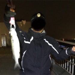 シーバスチャレンジ