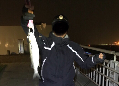 シーバスチャレンジ