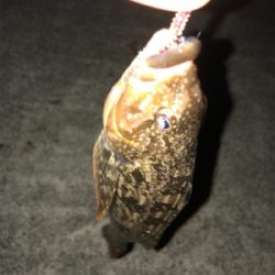 ボトムワインド