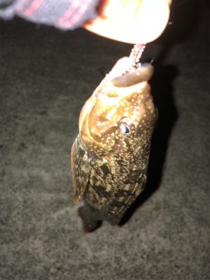 ボトムワインド