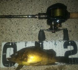 マイクロワインド炸裂