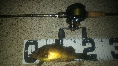 マイクロワインド炸裂