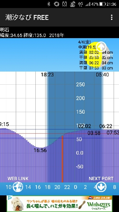 メバリング　サーフ
