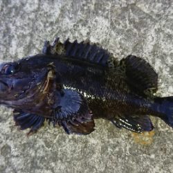 アジングロッドで