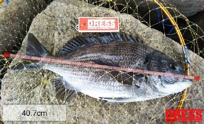 爆風の中、初釣果