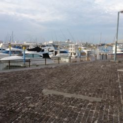 いつもの場所にアジングに行きました・・・