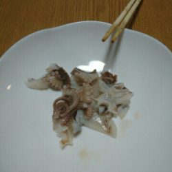 春イカ狙うも‼