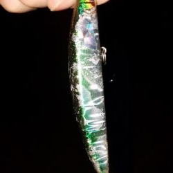 シーバスゲーム