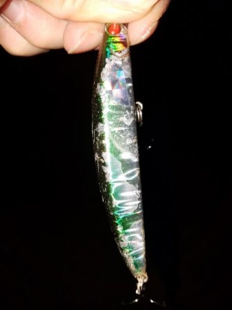 シーバスゲーム