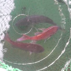 ハプニングが・・・