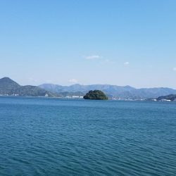 長いトンネルをついに脱出‼