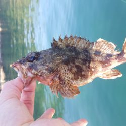 今年初出船釣行