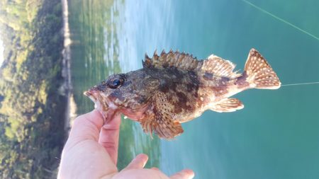 今年初出船釣行