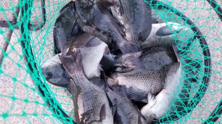 お昼から夕方まで！