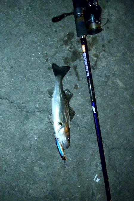 バチ、抜けてます。