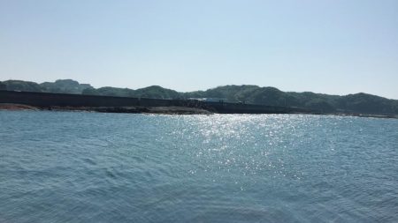 お久しぶりのアオリさん