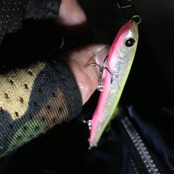 もぉランカーでいいっすか？ダメ？