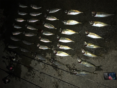 いまはココがアツイ！(釣行 其の拾七)