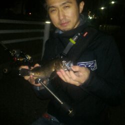 ちょこっとアーバンメバリング