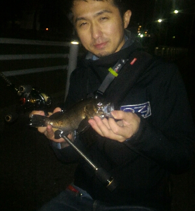 ちょこっとアーバンメバリング