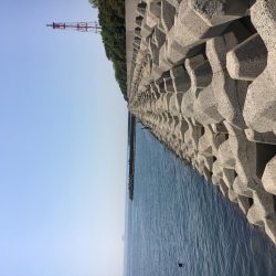 乗っ込みチヌフカセ