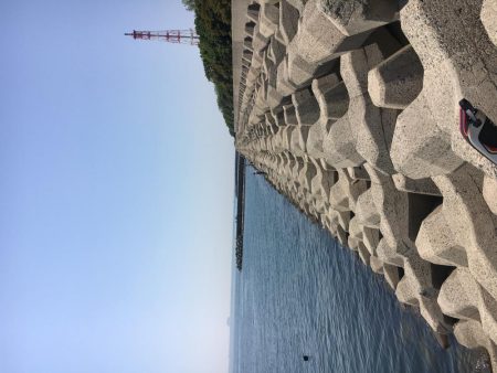 乗っ込みチヌフカセ