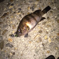 さー！連休だー！