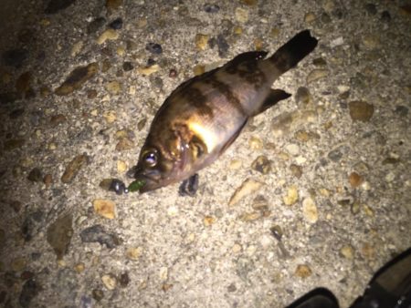 さー！連休だー！