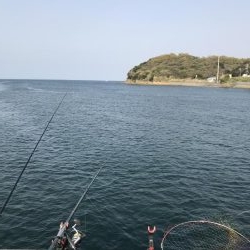 デカヒラメを求めて！