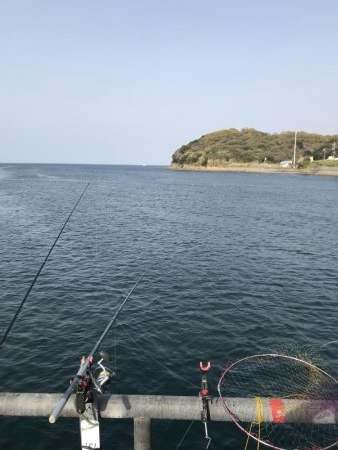 デカヒラメを求めて！