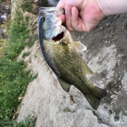 春が来たのでそろそろと思い‥