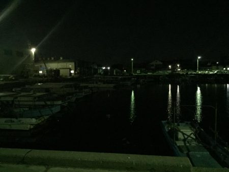 プラッキングの時期？