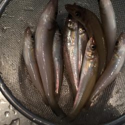 そろそろキス開幕か