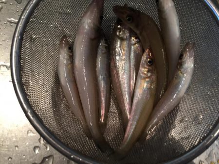 そろそろキス開幕か