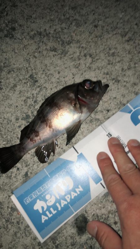 毎度メバリング