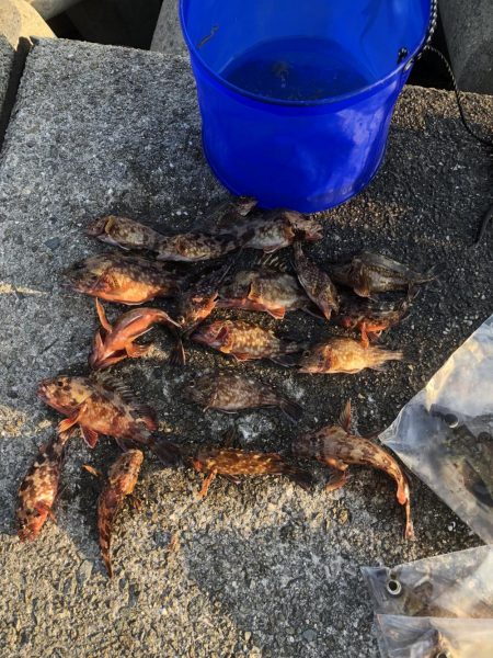 メバリングのち穴釣り