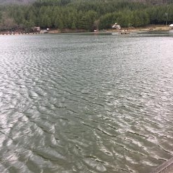 初トラウトフィッシング