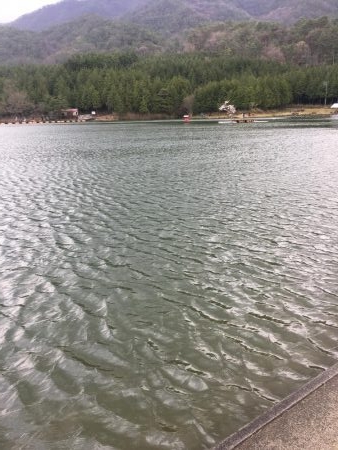 初トラウトフィッシング